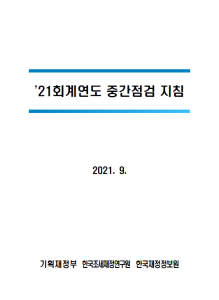 중간점검, 국가재무제표