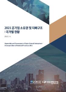 공기업, 소유권, 지배구조