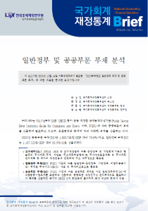 국가채무, 일반정부 부채, 공공부문 부채, PSDS
