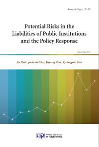 Potential Risks in the Liability of Public Institutions and the Policy Response